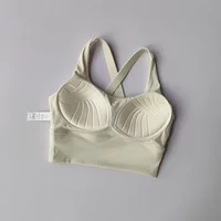 Seamless Sports Bra Collection Breast High-intensity Professional Shock-proof Huddle Running Bra Yoga Fitness Bra Summer Cloth