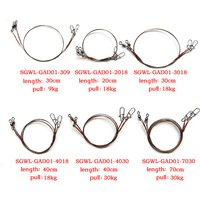 1 Pack Steel Fishing Line Wire Leader - Titanium Anti-Bite Anti-Winding - Fishing Leash Accessory for Anglers