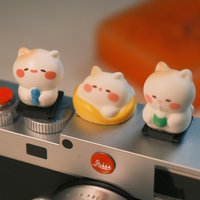 Cute Cat Hot Shoe Cover Japanese Kawaii Cartoon Camera Flash Cap ABS Dust Protector for DSLR Mirrorless Accessories CreativeGift