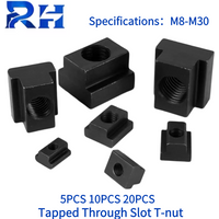 M6 M8 M10 M12 M14/16/18/20 Tapped Through Slot T-nut high quality DIN508 Black Oxide Finished Carbon Steel Slot T-Nut Grade 10.9