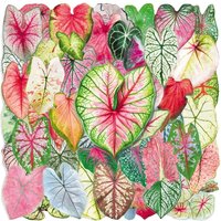 50Pcs Green Plant Leaves Cartoon Stickers Colorful Caladium Aesthetic Hand Account Transparent Decoration Scrapbooking Supplies