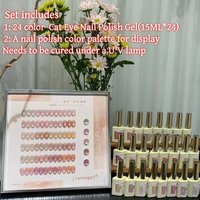 24 Color Silk Nude Cat Eye Gel Nail Polish Set, Soft Matching Colors, Includes Color Chart, Perfect for Beauty Salon Display