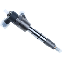 Diesel Common Rail Injector 0445110291 0445110293 0445110636 0445110794 0445110629 0445110333 Auto Parts For Bosch Engines