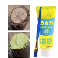 100g Tree Wound Bonsai Cut Paste Smear Agent Pruning Compound Sealer Grafting Rapid healing Sealer Tree Repair Ointment
