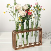 Hydroponic green plant test tube vase water-grown flower arrangement plant container simple wooden frame decoration creative gla