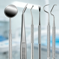 Teeth cleaning aid, teeth cleaning, stainless steel toothpick cleaning tool, removes tooth dirt, suitable for everyone
