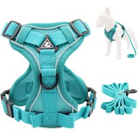 Reflective Pet Dog Harness and Leash Set for Small Medium Dogs mascotas Accessories Yorkies Puppy Cat Vest Harnesses arnes perro