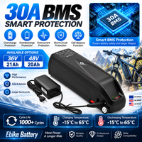 36V 21Ah 48V 20Ah E-Bike-Akku 30A BMS Lithium-Ionen-Akkupack mit 5A-Ladegerät für Elektrofahrrad E-Bike Roller