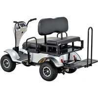 Airo 2-Seater Electric Mobility Scooter Handicapped and Disabled Scooter for Motorcycles