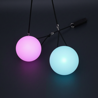 LED Poi Balls 2 Pack Luminous Belly Dance Stage Performance Light Fitness Equipment Halloween Christmas Party