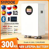 48V 300Ah LiFePO4 Battery 15Kwh 51.2V 300Ah Lithium Battery 6000 Cycles Bluetooth BMS Home Energy Storage Systems App Monitoring