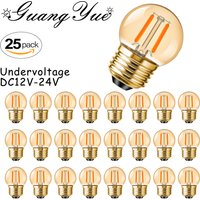 G40 Amber Glass low voltage Light Bulb E27 12V DC 24V 1W Landscape RV Camper Marine Battery Power System Off Grid Solar Lighting