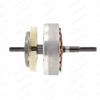 36V48V52V60V500W750W1000W Gear Motor Core, Electric Bicycle Motor Accessories