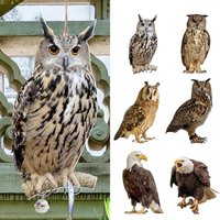 Owl Bird Repellent Bell Pendant Pastoral Orchard Bird Scare Pendant Outdoor Courtyard Decoration Wind Chime Garden Scarecrow