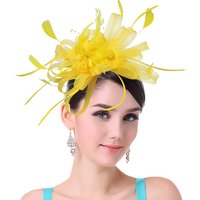 Women Ladies Fascinator Headband with a Clip,Reversible Feather Kentucky Derby Cocktail Tea Party Hat Headwear