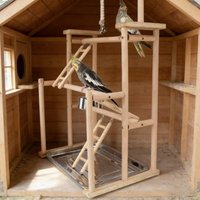 Parrot Large Game Rack Training Station Playground With Climbing Ladder Swing Pet Interactive Toys for Bird Exercise and Play