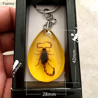 〔Funny〕Random 1PC Amber Key Chain Insect Specimen Chain Pendant Scorpion Scarab Seven Star Ladybug Wasp Butterfly Car Key Ring