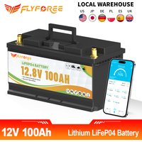 FLLYROWER 12V 100Ah LiFePO4 Lithium-Batterie mit Bluetooth BMS100A für Wohnmobile, Trolling-Motoren, Solar, Offroad und netzunabhängige Anwendungen