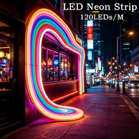 12V SMD2835 Flexible Silicone Neon LED Strip Light 120LEDs/m IP67 Waterproof With DC Plug 2Pin Wire For DIY Home Decoration