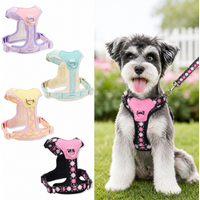Dog Harness and Leash Set, Breathable Mesh No Pull Pet Vest for Small Medium Dogs, Ultra Thin Puppy Walking Training Kits