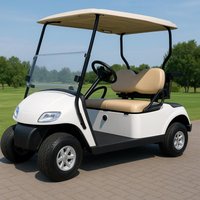 Electric Golf Cart 2 Seater 48V Lithium Battery Golf Buggy for Adults, Long Range Silent Golf Course Vehicle