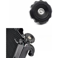Motorcycle Radiator Reservoir Cap For BENELLI TNT250 TNT300 302S 502C TNT600 752S TRK502 TKR552X TRK702 Leoncino 250 Leoncino500