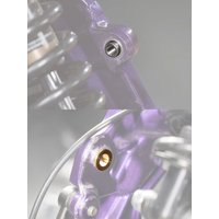 AliExpress NICECNC For Surron Light Bee X S L1E Rear Swingarm And Frame Hole Bushings For Segway X160 X260 Electric Dirt Bike 2024 2025