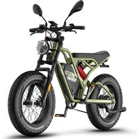 AliExpress NONE FAFREES F20 ULTRA 750W City ebike Adult electric bike 20 inches fat tire E-Mountain bike Battery: 48v25Ah E-bike