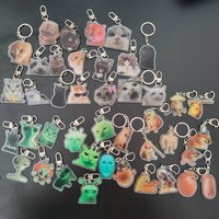 Acrylic Keychain Random 5 Pc Cute and Silly Cat Meme, Cool Cat Meme, Alien Cat Meme, Samurai Dog Meme - Gifts for Friends.