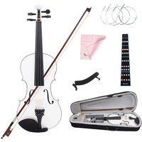 Violin 4/4 Popularize For Beginners Novice Lesson Study Violin Gift Solid Wood Maple Panel Fiddle Suit Kids With Accessories