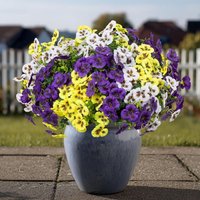 Multicolors Artificial Flower Plant Eucalyptus Plastic 20*35cm Violet Wedding Christmas Decor Festival party Diy House Decor