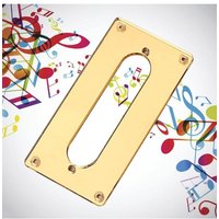 Conversion Pickup Mounting Ring Pickups Cover Frame Flat Top Replacement with Screw Hole Wear-resistant Neck