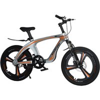AliExpress NONE WolFAce Magnesium Alloy Mountain Bike for Primary School Students 7-14 Years Old Shock-absorbing Bicycle Boys And Girls 2026 New