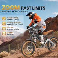 Twofish M20 Elektrofahrrad 1000W Motor 55Km/H E-Bike 48V 18,2Ah Akku 20''*4,0 Superbreiter Reifen Offroad Schnee- und Berg-E-Bike