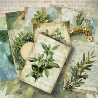 32pcs, Green Plant and Flower Postcards, Birthday/Anniversary Gifts, Collectibles, Suitable for Gift Giving, Can be Mailed.