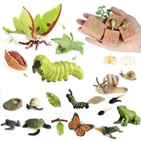 1set Growth Cycle Of Animals and Plants Technology Teaching Aids Children Simulation Life Cycle Insect Plant Snail Moth Seed TMZ