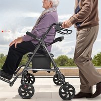 Walking Aid Wheelchair Foldable Elderly Support Walker Cane Seat Assist Strong Load Thickened Tubes Frame Mobility Assistance
