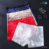 Low Waist Men Boxer Briefs Ice Silk Lace Trim Mesh Transparent Ventilate Thin Summer Underwear For Men Plus Size