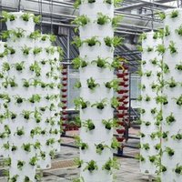 1Set Hydroponic Soilless Cultivation for Indoor Balcony Garden Vegetable Growing Plastic Nursery Cups with Planting
