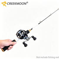 70cm Ice Fishing Rod with Solid Tip Winter Mini Fishing Rods Boat Portable Pocket Combo Pen Pole Lures Spinning Casting Hard Rod