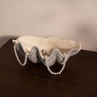 Clamshell Decor Bowl Textured Surface Shell Art Piece Seashell Decor Bowl Natural Luster Table Ornament Beach Themed for Hotel
