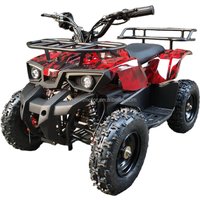 New 48V/1000W Electric ATV Quad Bike For Kids Use