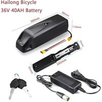 100% original Hailong Bicycle 36V 12Ah 40Ah Hailong Battery Pack Polyester DP-9 with Motor 750W/1000W BMS Built in Power Battery