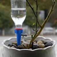 Drip Irrigation Automatic Plant Flowerpot Waterers System Houseplant Watering Drip Water Spikes Taper Watering