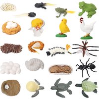 Funny Animal Life Cycle Board Children Toy Montessori Teaching Aids Plant Animal Growth Cycle Model Set preschool cognitive Toys