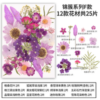 Pressed Flower Mixed with Dried Flowers and Leaves for Collage, Pressed Real Flowers and Plant Specimens, Handmade Resin Dry Flower DIY Material Kit