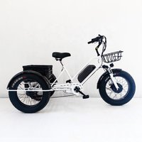 Wholesale 500W Cargo Electric Tricycle Electric Trike Ebike 3 Wheel Electric Bicycle for Adults