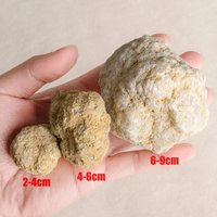 Unopened Natural Agate Geode Raw Crystal Mineral Healing Crystals Stone Fun Study Teaching Specimen Collections Home Room Decor