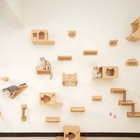 Wall Mounted Cat Shelf Floating Perch Modern Cat Wall Furniture Sturdy Space Saving Cat Bed for Indoor Cats Kittens Play Rest