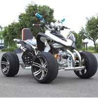 Electric 4X4 ATV, 3000W All-Terrain Vehicle, Shaft Drive, Off-Road UTV for Sand Snow Mountain, Quad Bike